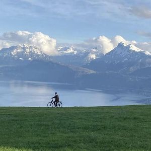 久久久久青草线焦综合
